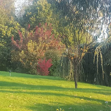 Bed and Breakfast Camden House