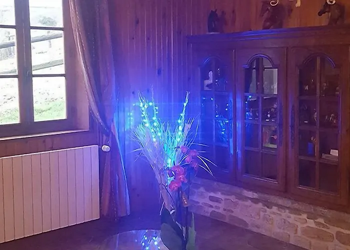 Camden House 住宿加早餐酒店 3*