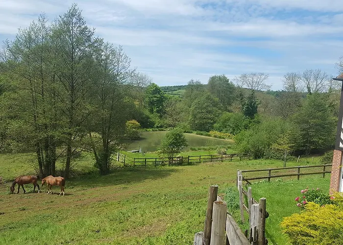 住宿加早餐酒店 Camden House 3*